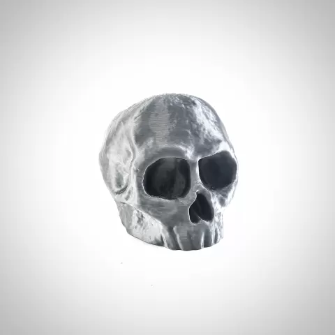 Skull for Fdm