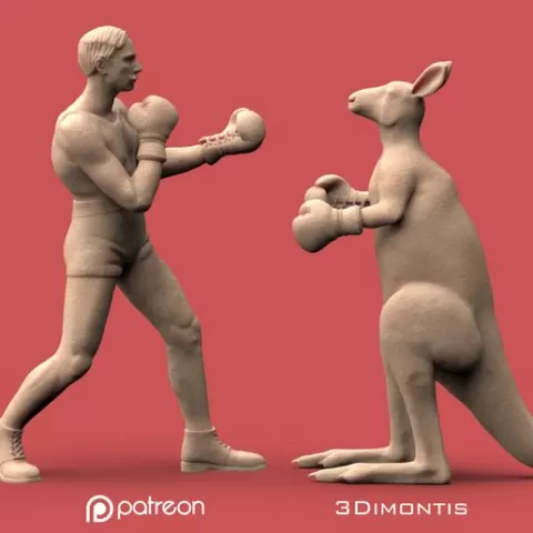 Boxer vs Kangaroo