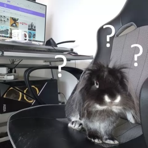 plug cover (rabbit-proof)