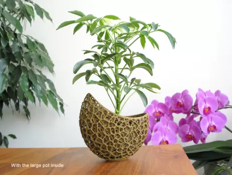 Capsule Planter
