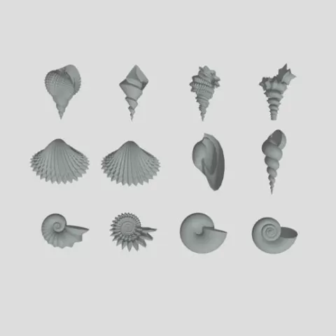 Helico Spiral Shells