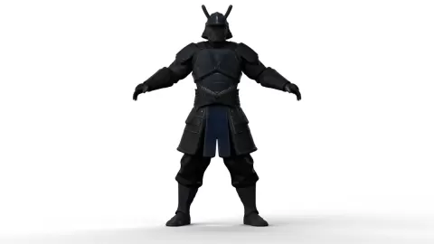 Fantasy Samurai