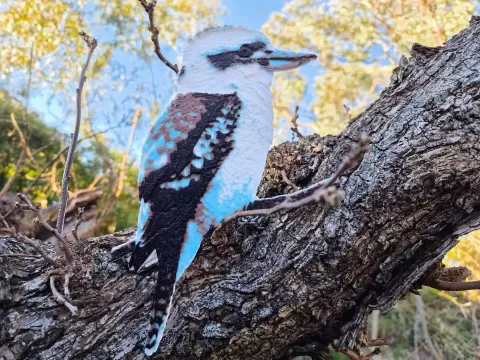 Kookaburra Wall Art