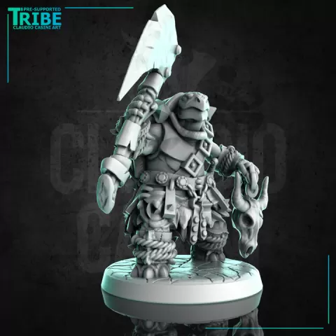 (0269) Male turtle tortle folk barbarian warrior with an axes by Claudio Casini Art