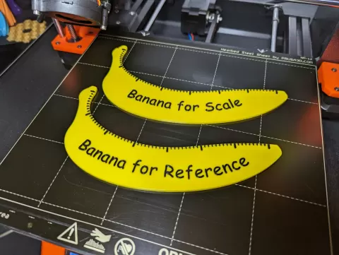 International Standard Banana for Scale and Reference