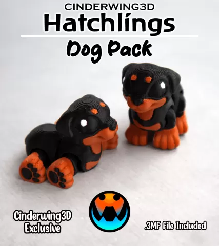 Rottweiler - Hatchling