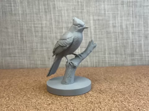 Bluejay
