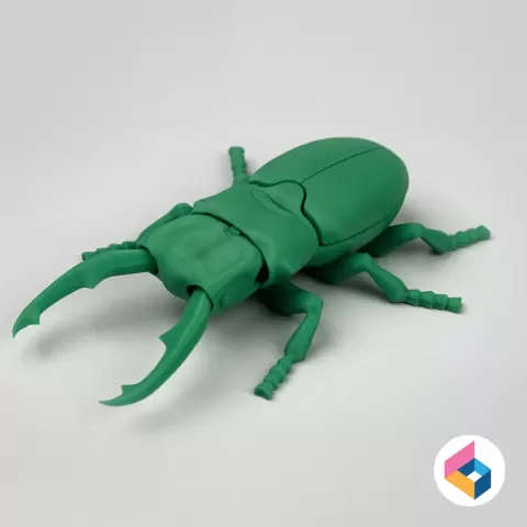 Foldable Stag Beetle - Flexi