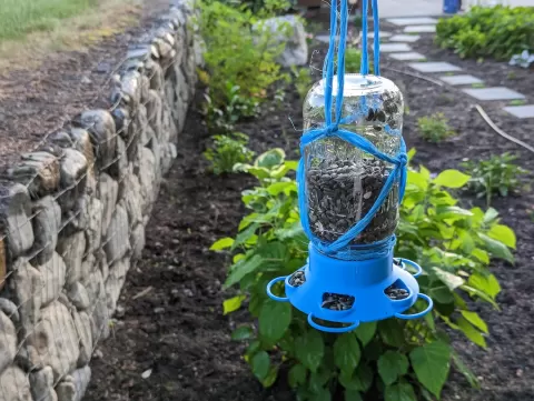 Mason Jar Bird Feeder Lid