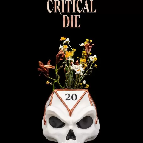 Critical Die by Stlflix