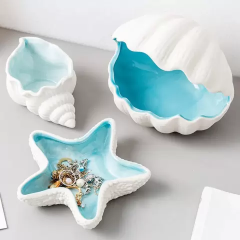 Seashell collection