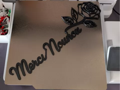 Merci Nounou 1 couleur sans AMS