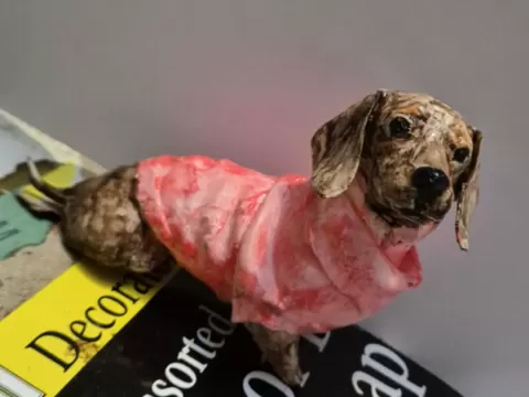 Sizzle The Sausage Dog wearing a jumper! (A1 Mini)