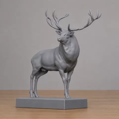 Deer