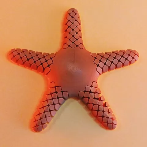 ⭐ Articulated Starfish – Print-in-Place Flexi Sea Animal Toy by Alex