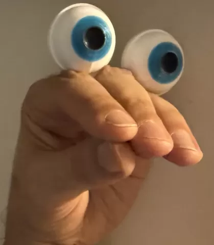 Hand Puppet Eyes