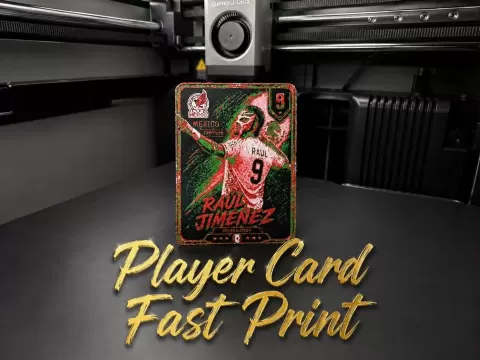 Raul Jimenez Player Card