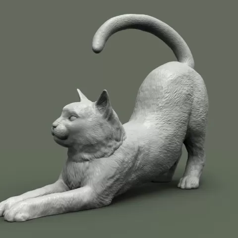 Cat by Alexander3dart
