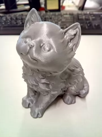 Kitten