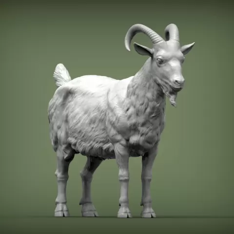 Goat by Alexander3dart