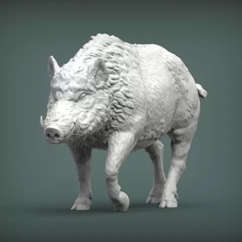 A wild boar by Alexander3dart