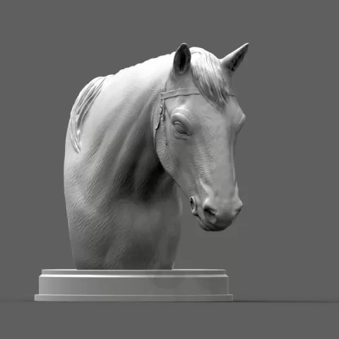 Horses head by Alexander3dart