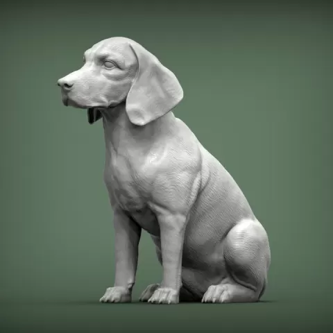 Beagle dog by Alexander3dart