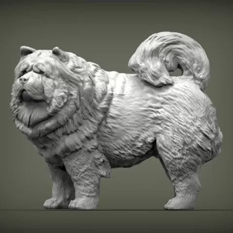 Chow Chow by Alexander3dart
