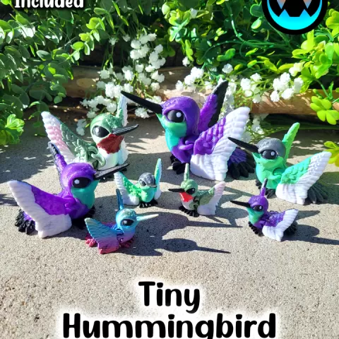 Tiny Hummingbird by Cinderwing3D