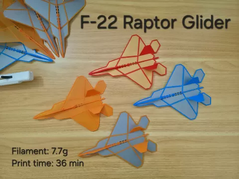 F-22 Raptor Plane Glider