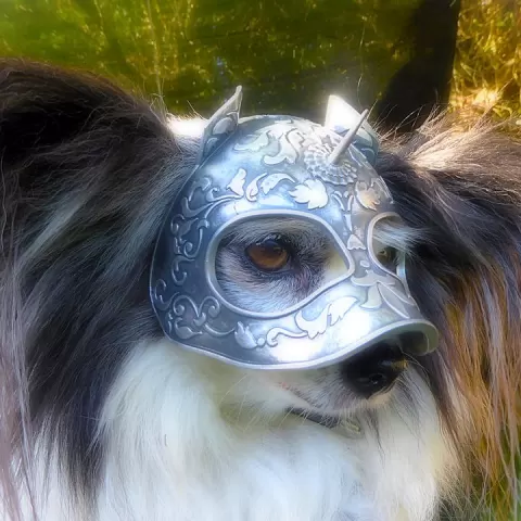 Medieval Knights Dog Helmet. Scale To Size. Costume, prop, cosplay, dog armor. by dogpuddle