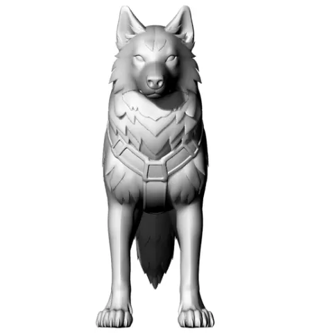 Husky - Dog - كلب - Perro