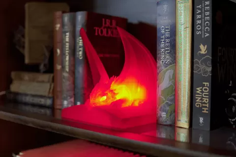 Dragon Library Illuminated – LED Night Light Dragon