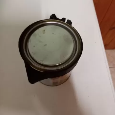 Spout for paint can