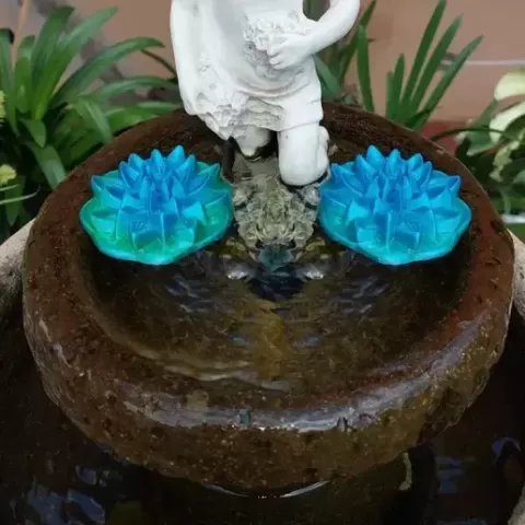Floating Water Lily