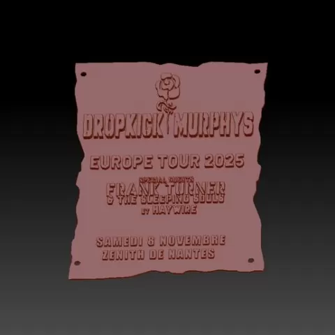 Dropkick Murphys plate