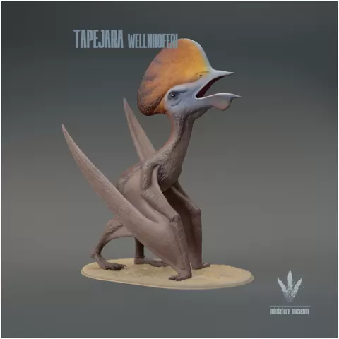 Tapejara wellnhoferi : The Lord of the Ways by Miniature Museum