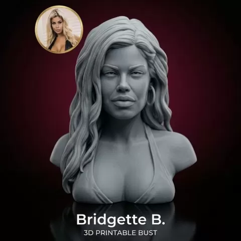 Bridgette B. bust by 3dmodelgallery