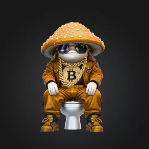 Bitcoin Dumps
