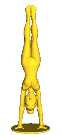 Handstand Gymnast
