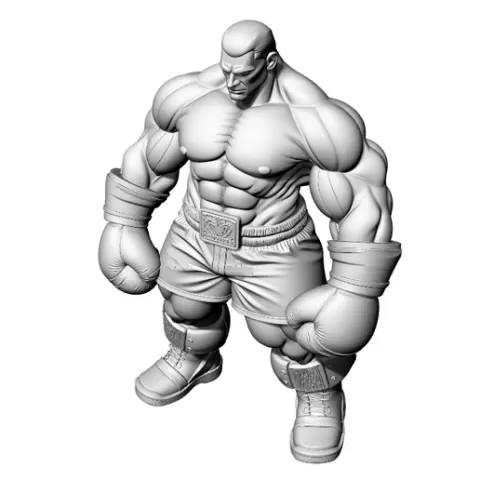 Hevy Whight Fighter Boxer WWE
