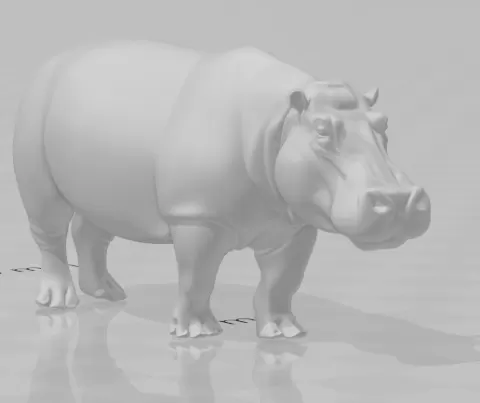 hippo