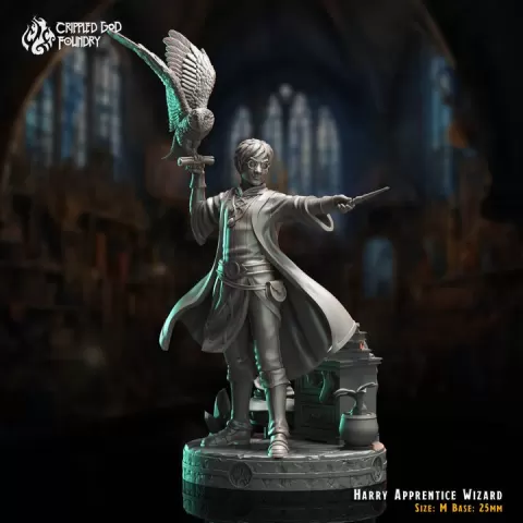 Harry, Apprentice Wizard by Crippled God Foundry