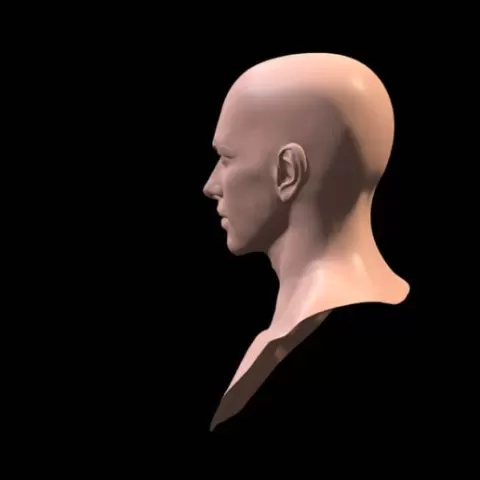 Mask Head 3D Printable