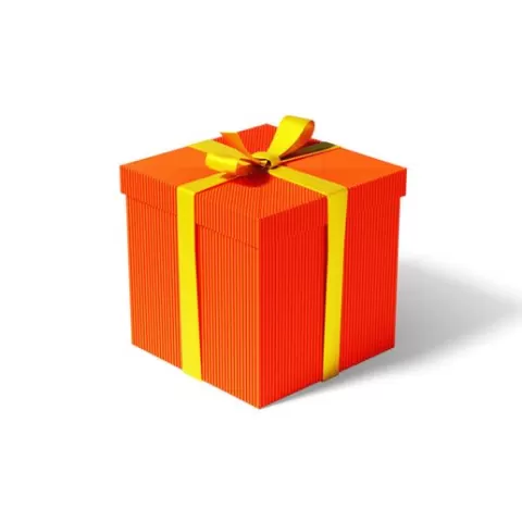 Present Gift Box