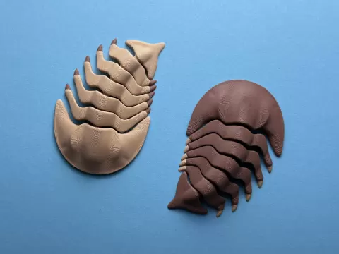 Articulated Trilobite