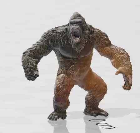 Kong