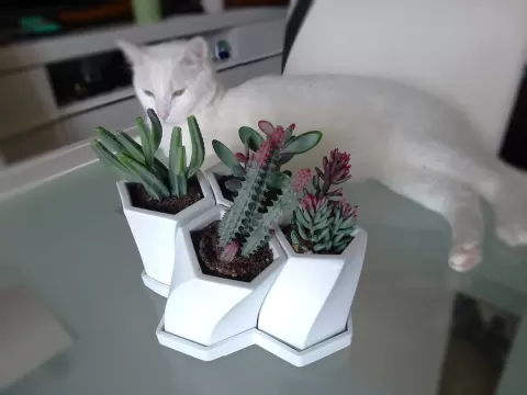 Honeycomb Planter