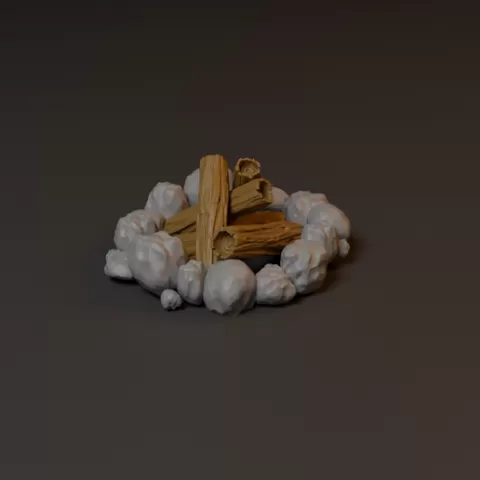 Campfire / camping