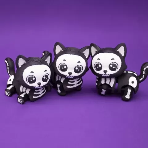 Cute Flexi Skeleton Cat
